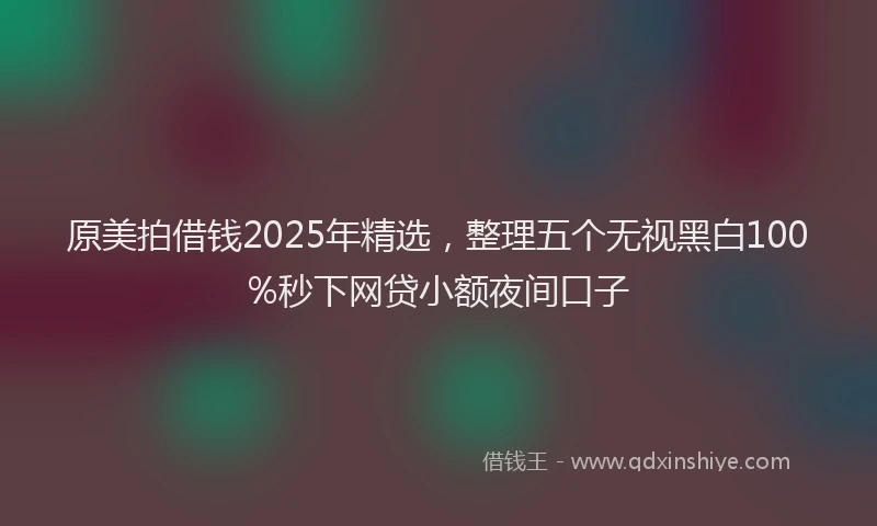 原美拍借钱2025年精选，整理五个无视黑白100%秒下网贷小额夜间口子