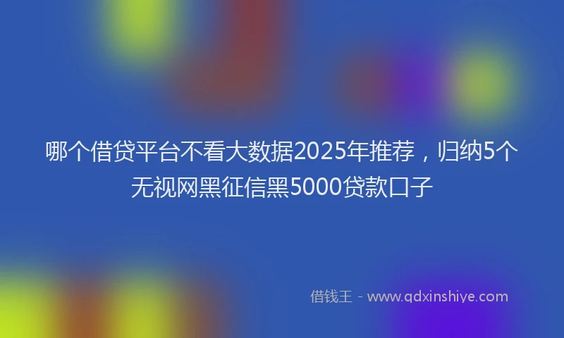 哪个借贷平台不看大数据2025年推荐，归纳5个无视网黑征信黑5000贷款口子