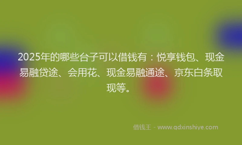 2025年的哪些台子可以借钱有：悦享钱包、现金易融贷途、会用花、现金易融通途、京东白条取现等。