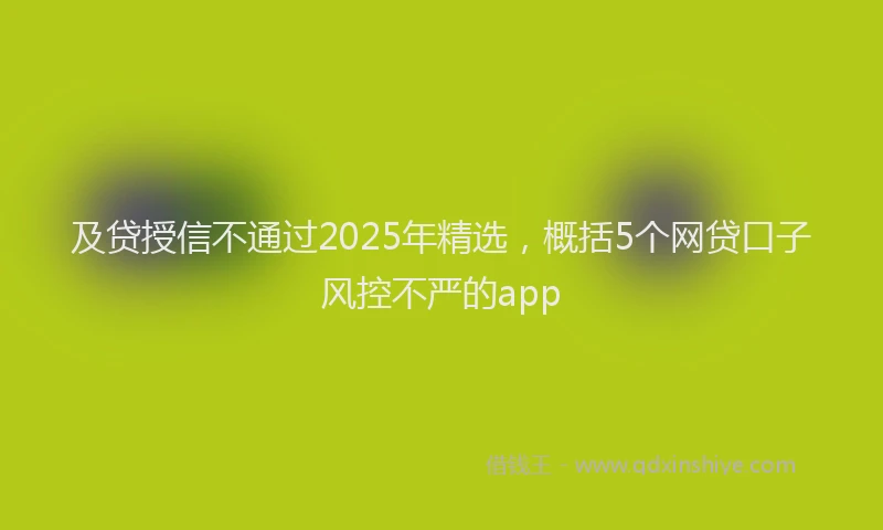 及贷授信不通过2025年精选，概括5个网贷口子风控不严的app
