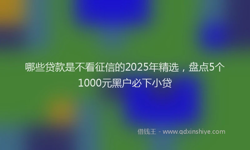 哪些贷款是不看征信的2025年精选，盘点5个1000元黑户必下小贷