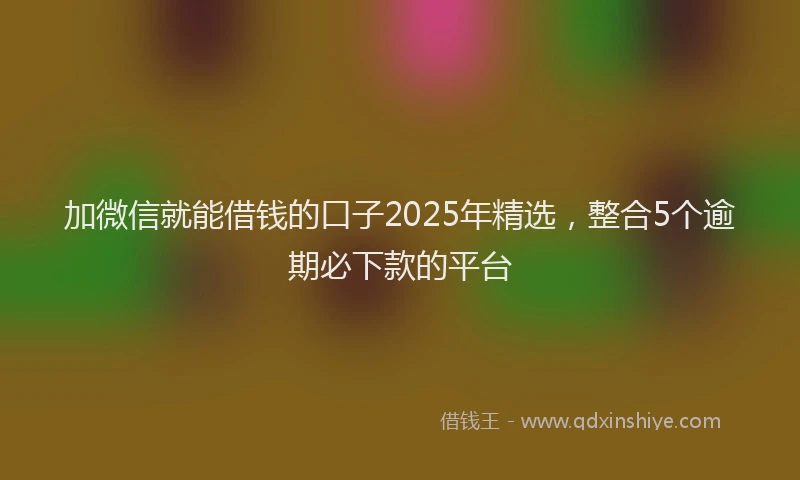 加微信就能借钱的口子2025年精选，整合5个逾期必下款的平台