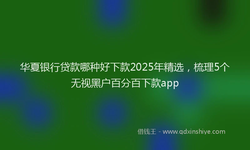 华夏银行贷款哪种好下款2025年精选，梳理5个无视黑户百分百下款app