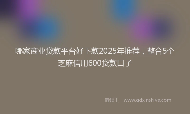 哪家商业贷款平台好下款2025年推荐，整合5个芝麻信用600贷款口子