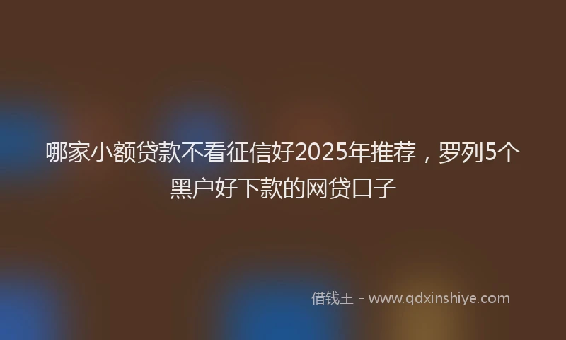 哪家小额贷款不看征信好2025年推荐，罗列5个黑户好下款的网贷口子