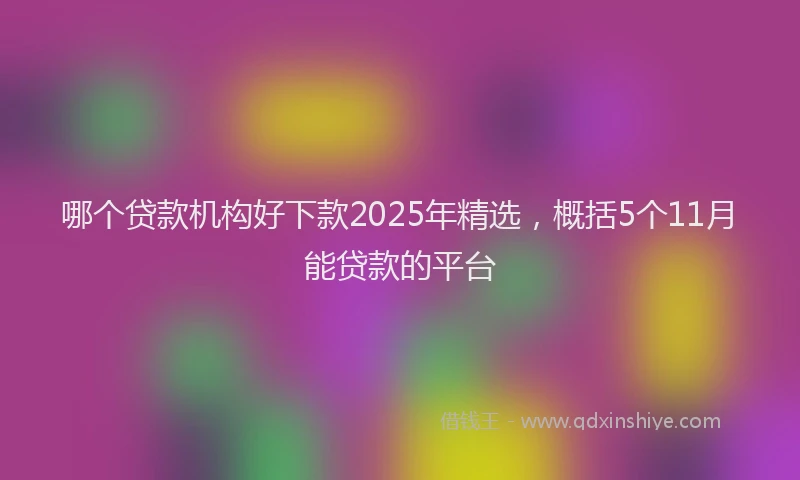 哪个贷款机构好下款2025年精选，概括5个11月能贷款的平台