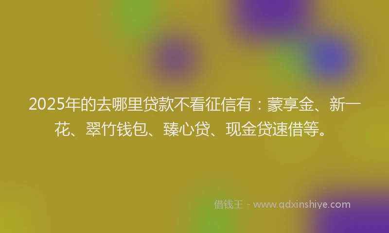 2025年的去哪里贷款不看征信有：蒙享金、新一花、翠竹钱包、臻心贷、现金贷速借等。
