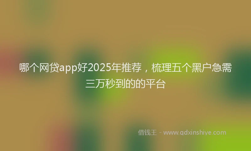 哪个网贷app好2025年推荐，梳理五个黑户急需三万秒到的的平台