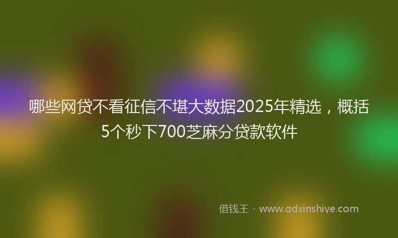 哪些网贷不看征信不堪大数据2025年精选，概括5个秒下700芝麻分贷款软件
