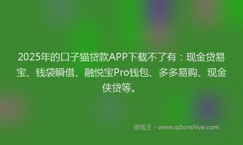 2025年的口子猫贷款APP下载不了有：现金贷易宝、钱袋瞬借、融悦宝Pro钱包、多多易购、现金侠贷等。