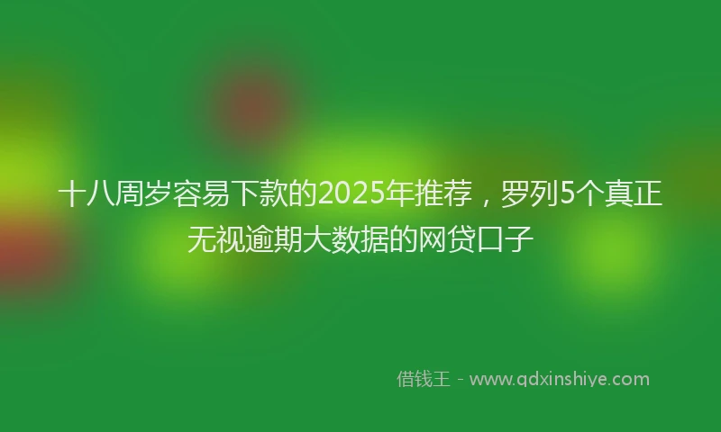 十八周岁容易下款的2025年推荐，罗列5个真正无视逾期大数据的网贷口子