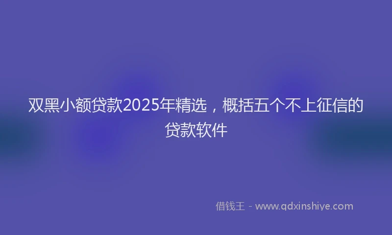 双黑小额贷款2025年精选，概括五个不上征信的贷款软件