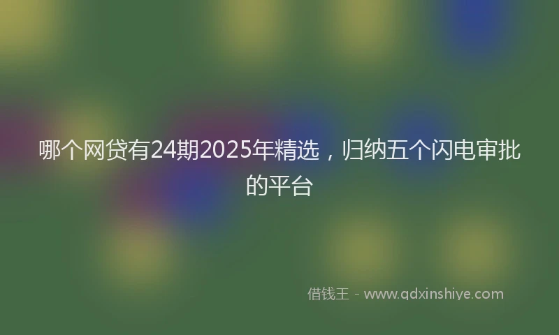哪个网贷有24期2025年精选，归纳五个闪电审批的平台