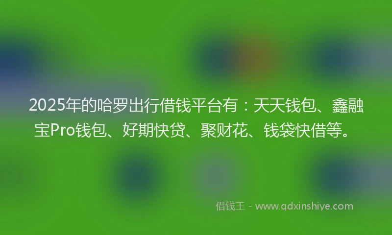2025年的哈罗出行借钱平台有：天天钱包、鑫融宝Pro钱包、好期快贷、聚财花、钱袋快借等。