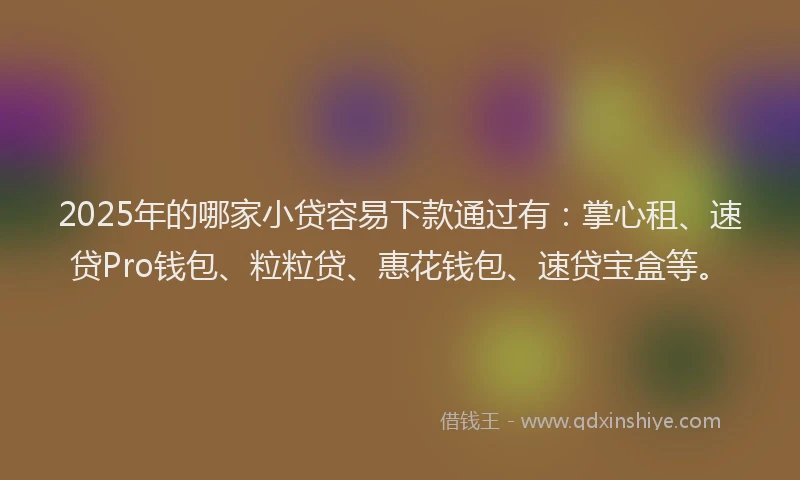2025年的哪家小贷容易下款通过有：掌心租、速贷Pro钱包、粒粒贷、惠花钱包、速贷宝盒等。