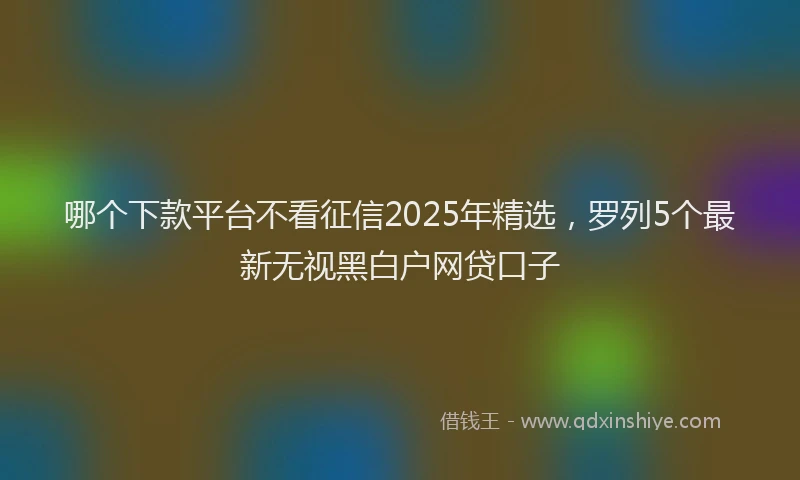 哪个下款平台不看征信2025年精选，罗列5个最新无视黑白户网贷口子