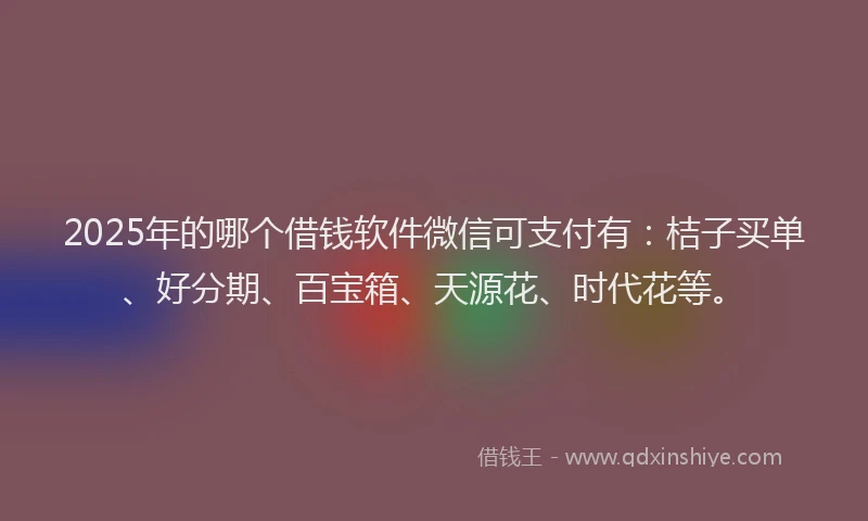 2025年的哪个借钱软件微信可支付有：桔子买单、好分期、百宝箱、天源花、时代花等。