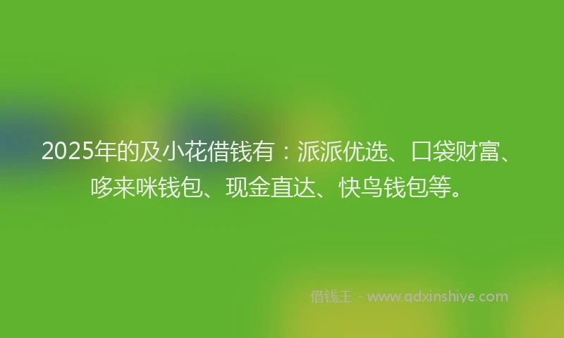 2025年的及小花借钱有：派派优选、口袋财富、哆来咪钱包、现金直达、快鸟钱包等。