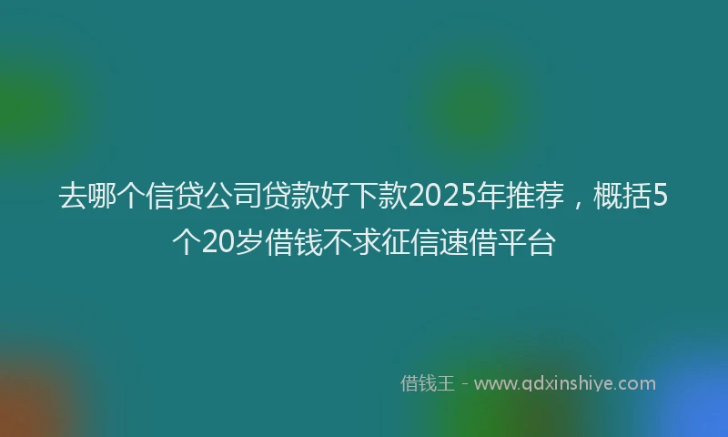 去哪个信贷公司贷款好下款2025年推荐，概括5个20岁借钱不求征信速借平台