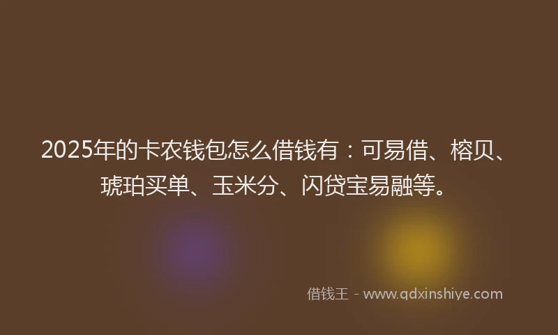 2025年的卡农钱包怎么借钱有：可易借、榕贝、琥珀买单、玉米分、闪贷宝易融等。