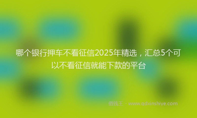 哪个银行押车不看征信2025年精选，汇总5个可以不看征信就能下款的平台