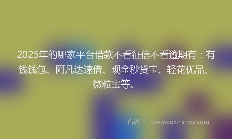 2025年的哪家平台借款不看征信不看逾期有：有钱钱包、阿凡达速借、现金秒贷宝、轻花优品、微粒宝等。