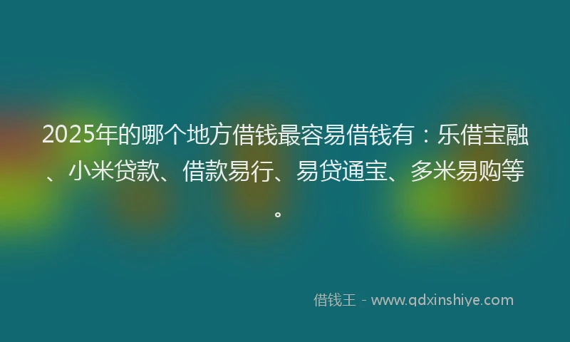 2025年的哪个地方借钱最容易借钱有：乐借宝融、小米贷款、借款易行、易贷通宝、多米易购等。