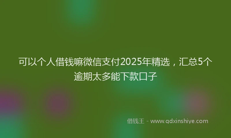 可以个人借钱嘛微信支付2025年精选，汇总5个逾期太多能下款口子