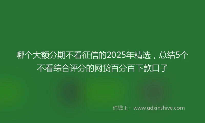 哪个大额分期不看征信的2025年精选，总结5个不看综合评分的网贷百分百下款口子