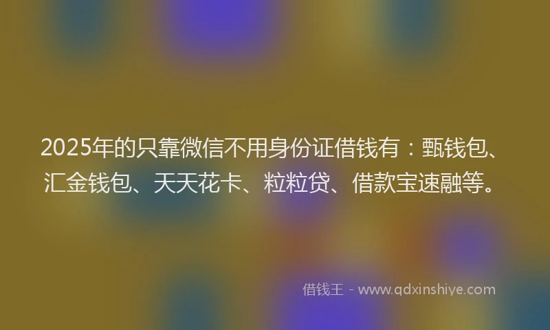 2025年的只靠微信不用身份证借钱有：甄钱包、汇金钱包、天天花卡、粒粒贷、借款宝速融等。