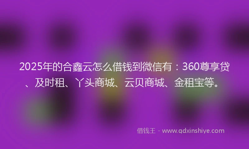 2025年的合鑫云怎么借钱到微信有：360尊享贷、及时租、丫头商城、云贝商城、金租宝等。