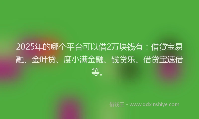 2025年的哪个平台可以借2万块钱有：借贷宝易融、金叶贷、度小满金融、钱贷乐、借贷宝速借等。