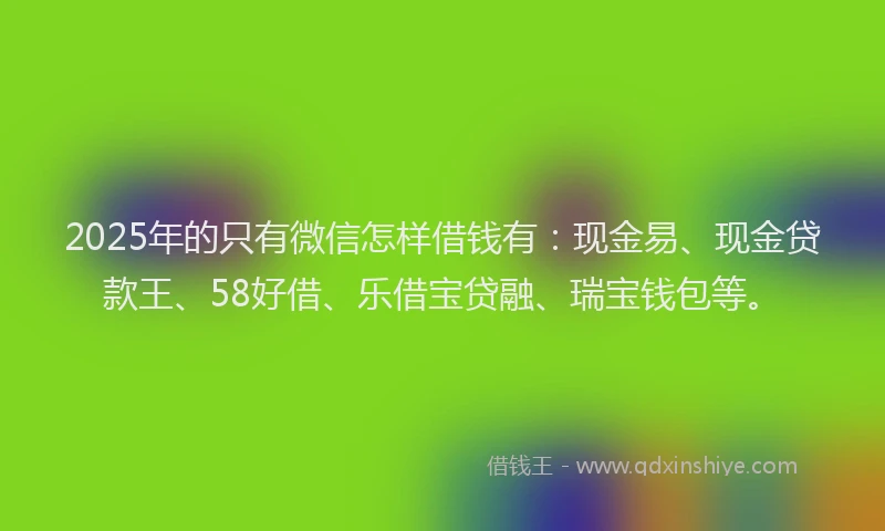 2025年的只有微信怎样借钱有：现金易、现金贷款王、58好借、乐借宝贷融、瑞宝钱包等。