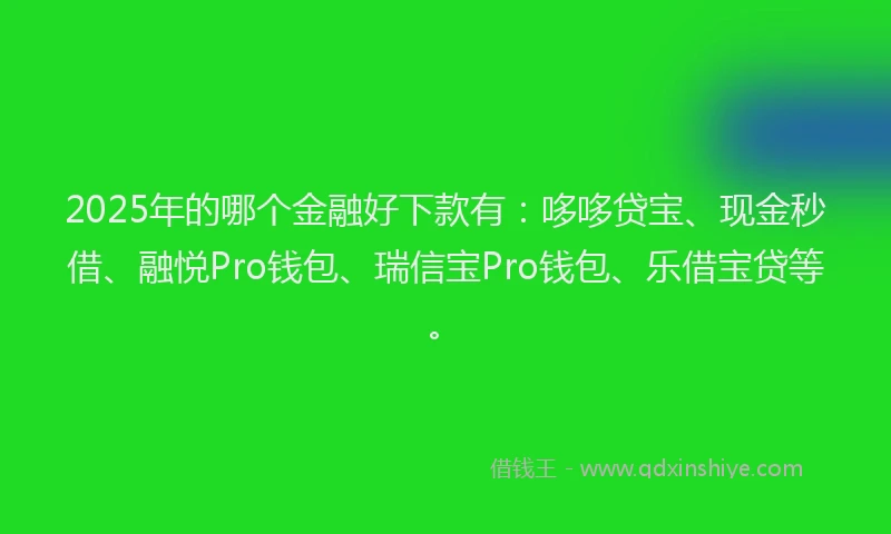 2025年的哪个金融好下款有：哆哆贷宝、现金秒借、融悦Pro钱包、瑞信宝Pro钱包、乐借宝贷等。