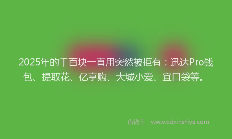 2025年的千百块一直用突然被拒有：迅达Pro钱包、提取花、亿享购、大城小爱、宜口袋等。