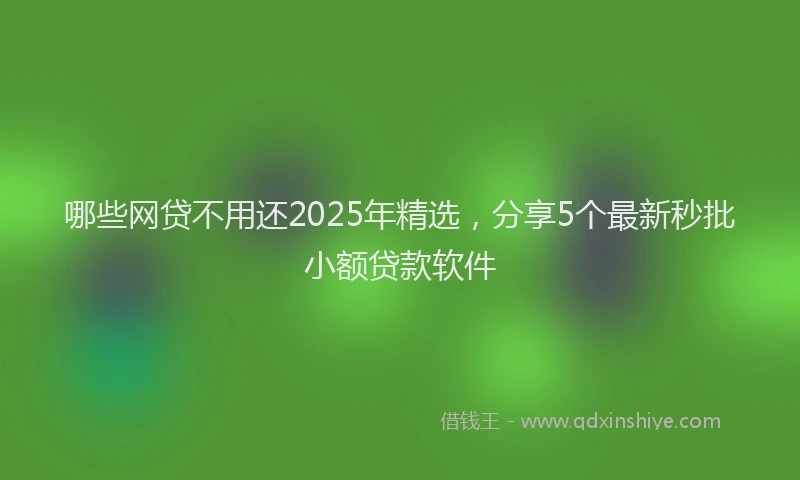 哪些网贷不用还2025年精选，分享5个最新秒批小额贷款软件