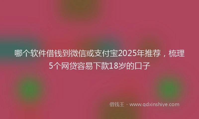 哪个软件借钱到微信或支付宝2025年推荐，梳理5个网贷容易下款18岁的口子