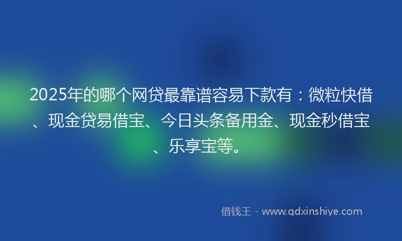 2025年的哪个网贷最靠谱容易下款有：微粒快借、现金贷易借宝、今日头条备用金、现金秒借宝、乐享宝等。
