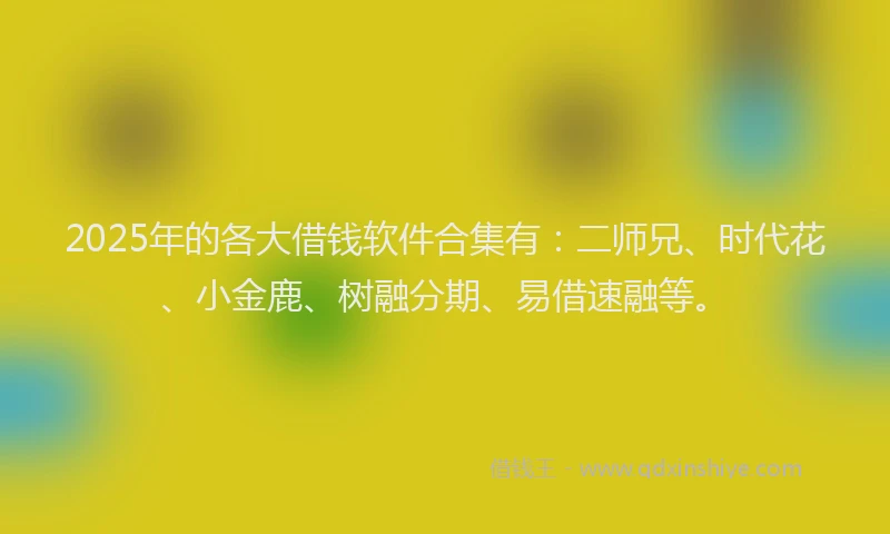 2025年的各大借钱软件合集有：二师兄、时代花、小金鹿、树融分期、易借速融等。