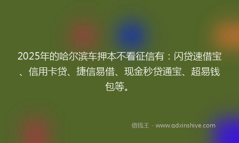 2025年的哈尔滨车押本不看征信有：闪贷速借宝、信用卡贷、捷信易借、现金秒贷通宝、超易钱包等。