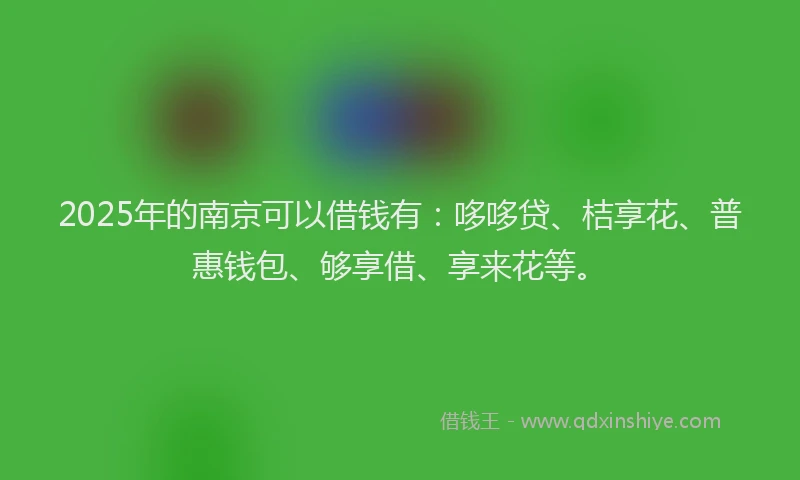 2025年的南京可以借钱有：哆哆贷、桔享花、普惠钱包、够享借、享来花等。