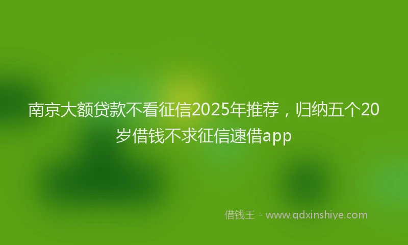 南京大额贷款不看征信2025年推荐，归纳五个20岁借钱不求征信速借app