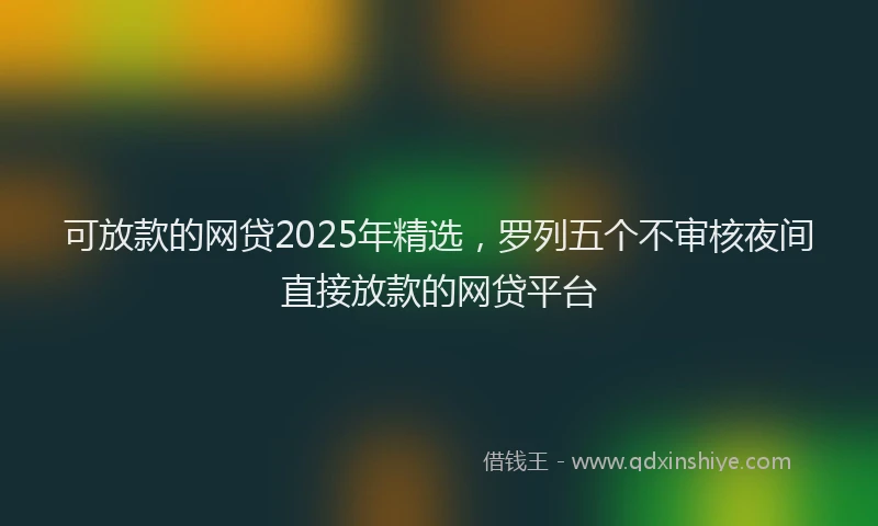 可放款的网贷2025年精选，罗列五个不审核夜间直接放款的网贷平台