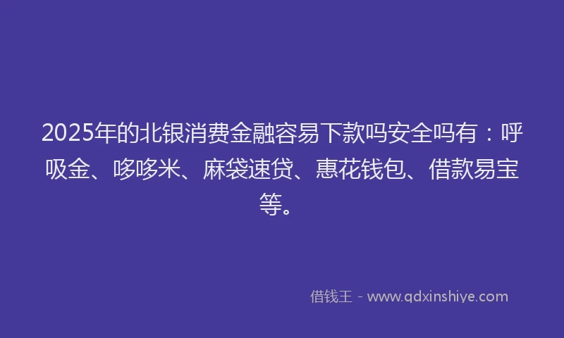 2025年的北银消费金融容易下款吗安全吗有：呼吸金、哆哆米、麻袋速贷、惠花钱包、借款易宝等。