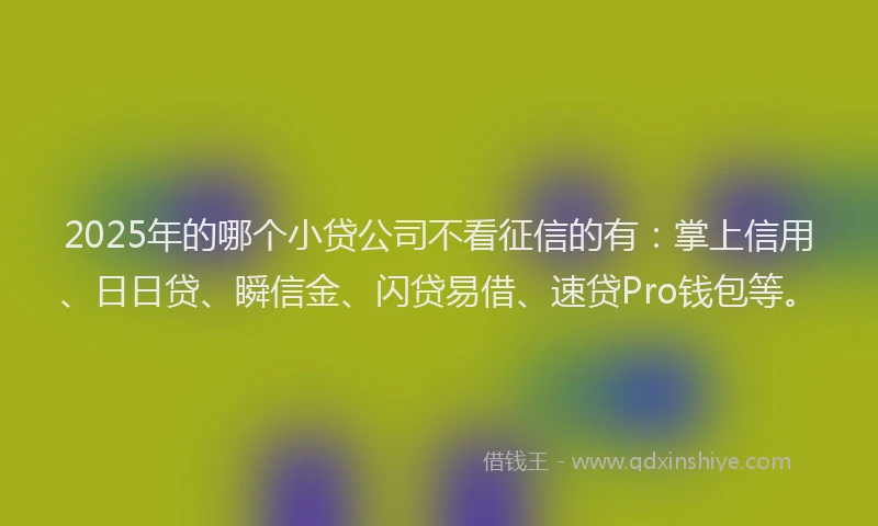 2025年的哪个小贷公司不看征信的有：掌上信用、日日贷、瞬信金、闪贷易借、速贷Pro钱包等。