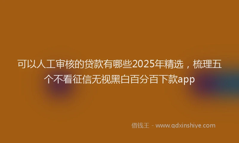 可以人工审核的贷款有哪些2025年精选，梳理五个不看征信无视黑白百分百下款app
