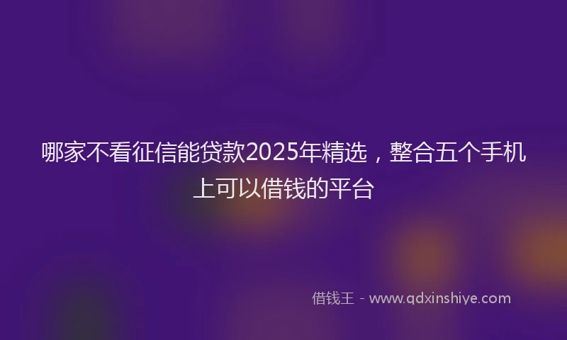哪家不看征信能贷款2025年精选，整合五个手机上可以借钱的平台