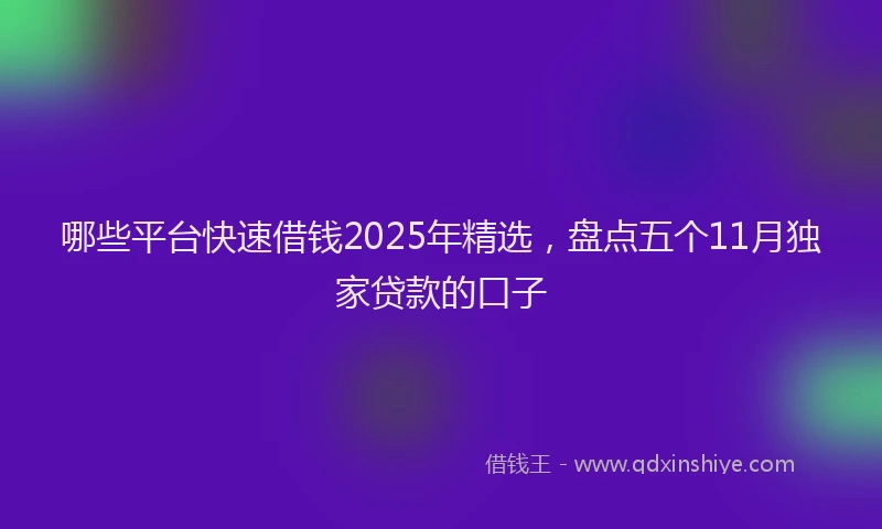 哪些平台快速借钱2025年精选，盘点五个11月独家贷款的口子