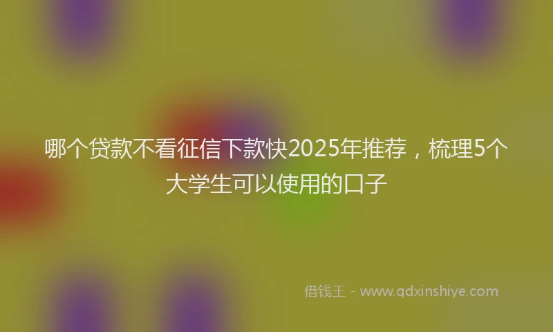 哪个贷款不看征信下款快2025年推荐，梳理5个大学生可以使用的口子