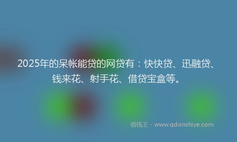 2025年的呆帐能贷的网贷有：快快贷、迅融贷、钱来花、射手花、借贷宝盒等。
